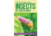 Pocket Guide to the Insects of Costa Rica
