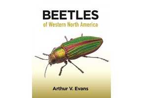 Beetles of Western North America