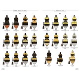 Bumblebees of Europe and neighbouring regions - Hymenoptera of Europe, Volume 3