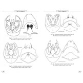 Bumblebees of Europe and neighbouring regions - Hymenoptera of Europe, Volume 3