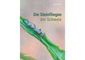 Die Steinfliegen der Schweiz