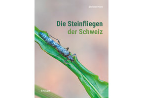 Die Steinfliegen der Schweiz