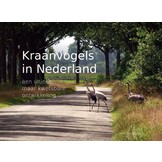 Kraanvogels in Nederland - Een unieke, maar kwetsbare ontwikkeling
