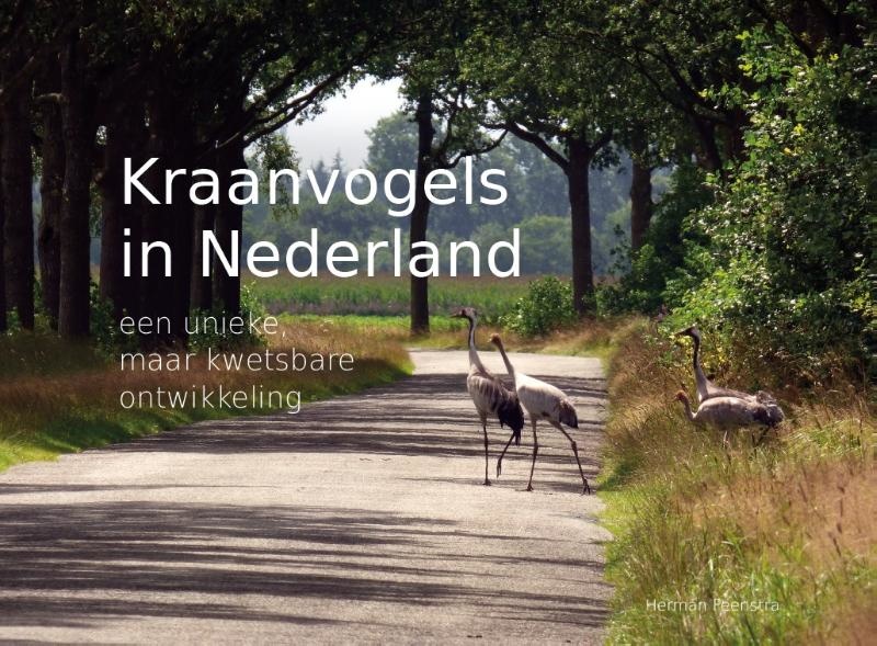 Kraanvogels in Nederland - Een unieke, maar kwetsbare ontwikkeling