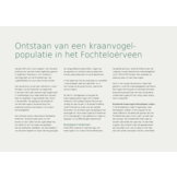 Kraanvogels in Nederland - Een unieke, maar kwetsbare ontwikkeling