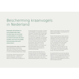 Kraanvogels in Nederland - Een unieke, maar kwetsbare ontwikkeling