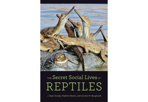 The Secret Social Lives of Reptiles