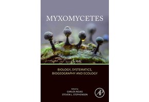 Myxomycetes