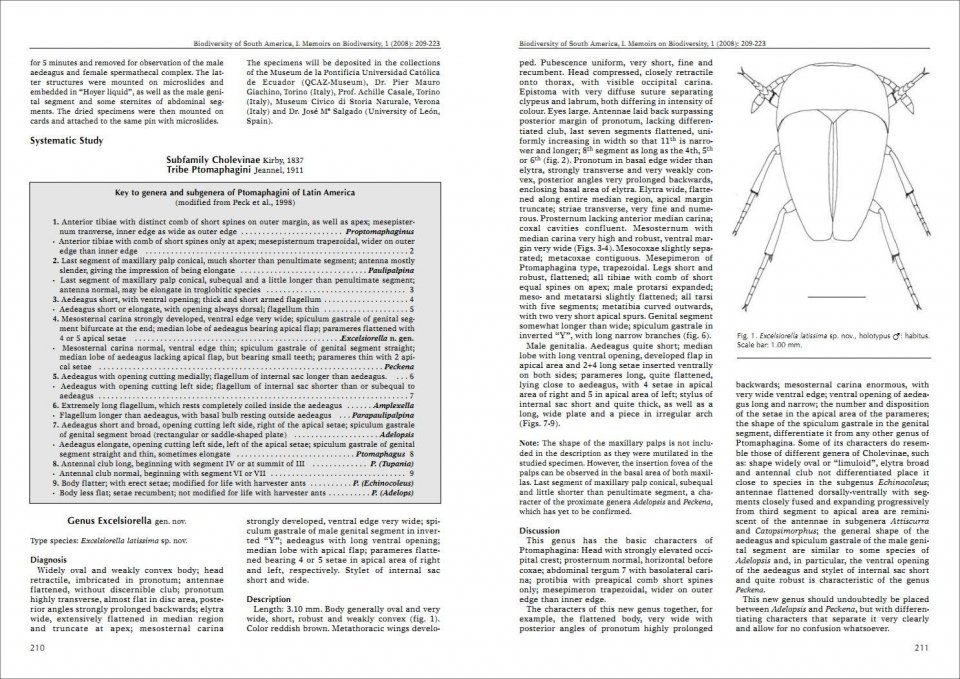 Biodiversity of South America. I - Memoirs on Biodiversity, Volume 1, 2008