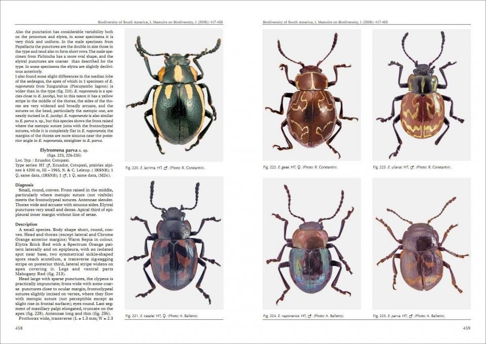 Biodiversity of South America. I - Memoirs on Biodiversity, Volume 1, 2008
