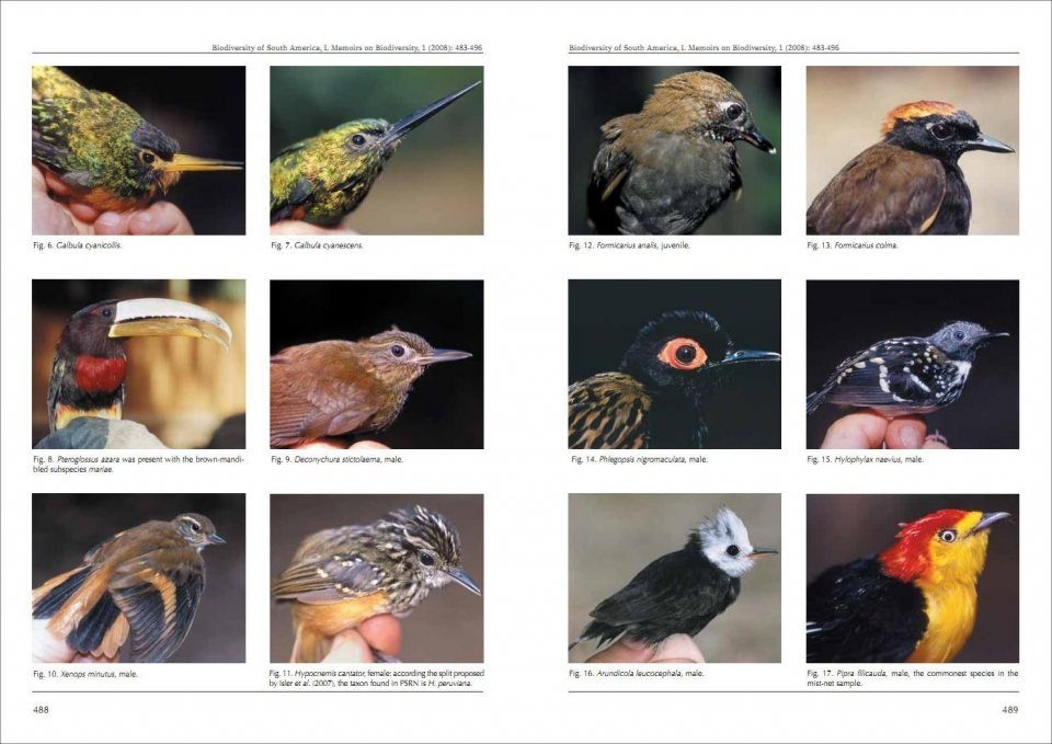 Biodiversity of South America. I - Memoirs on Biodiversity, Volume 1, 2008
