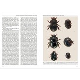 Biodiversity of South America. I - Memoirs on Biodiversity, Volume 1, 2008