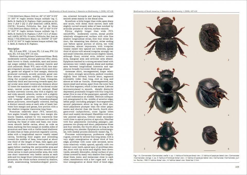 Biodiversity of South America. I - Memoirs on Biodiversity, Volume 1, 2008