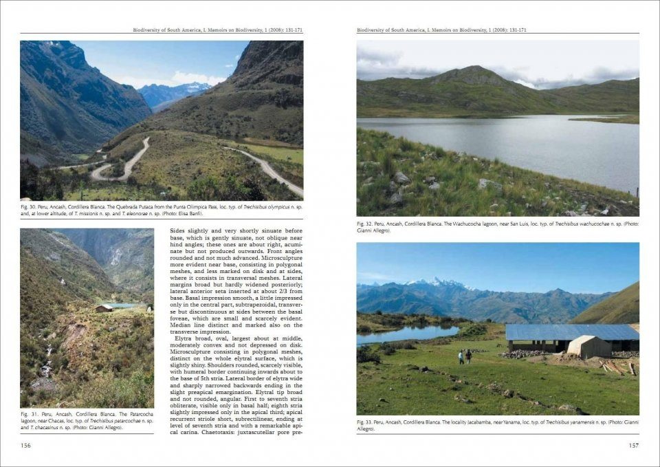 Biodiversity of South America. I - Memoirs on Biodiversity, Volume 1, 2008