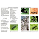 Biodiversity of South America. I - Memoirs on Biodiversity, Volume 1, 2008