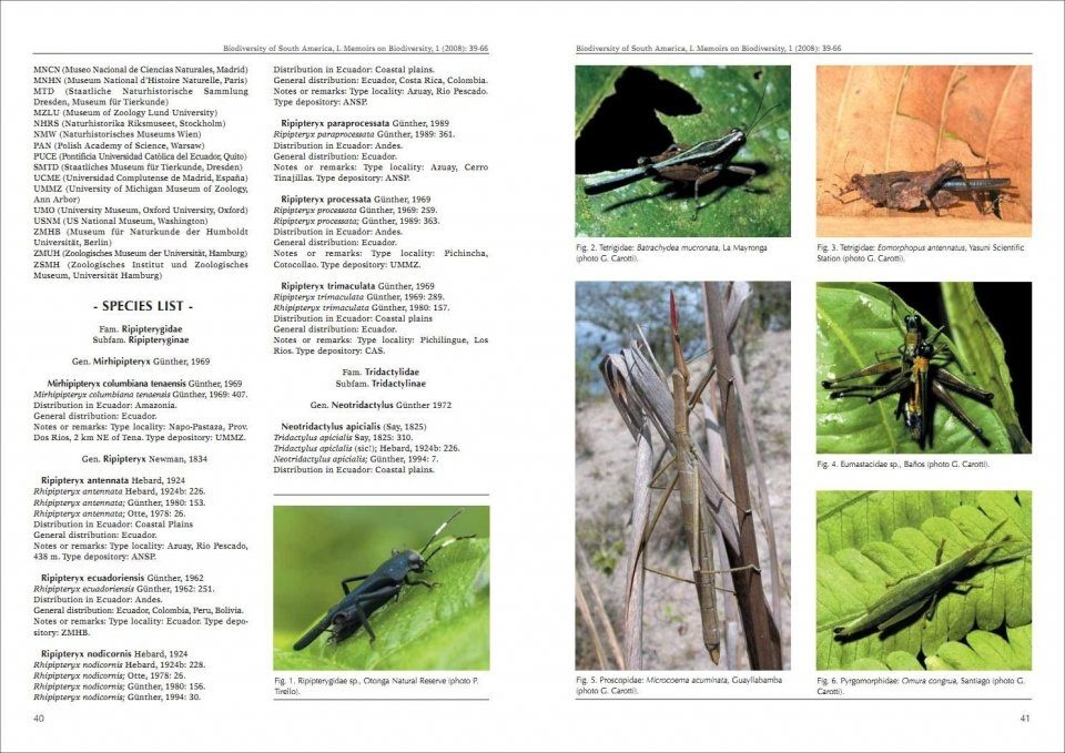 Biodiversity of South America. I - Memoirs on Biodiversity, Volume 1, 2008