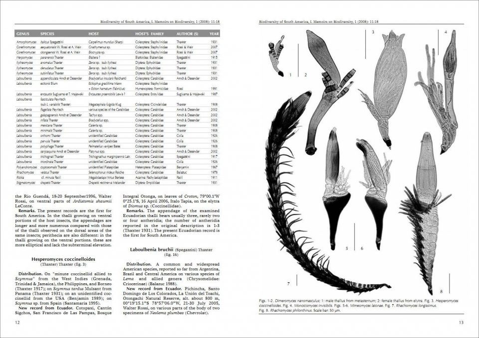 Biodiversity of South America. I - Memoirs on Biodiversity, Volume 1, 2008