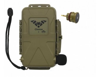 Titley Chorus Ultraschall