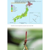 Japan: The Natural History of an Asian Archipelago