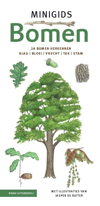 Minigids Bomen - 28 bomen herkennen | blad, bloei, vrucht, tak en stam