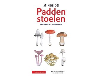 Minigids Paddenstoelen