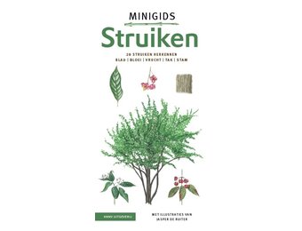 Minigids Struiken