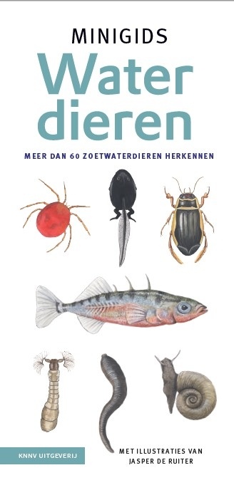 Minigids Waterdieren - Meer dan 60 zoetwaterdieren herkennen