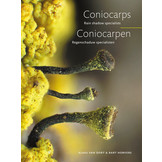 Coniocarpen - Regenschaduw specialisten