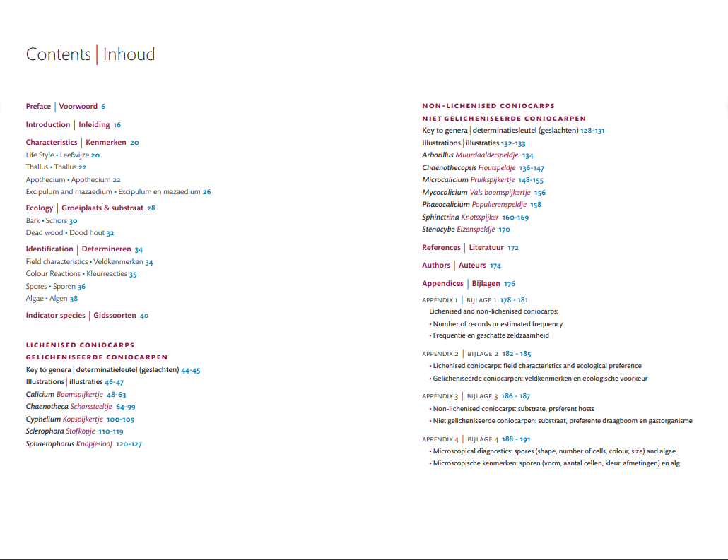 Coniocarpen - Regenschaduw specialisten