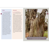 Coniocarpen - Regenschaduw specialisten