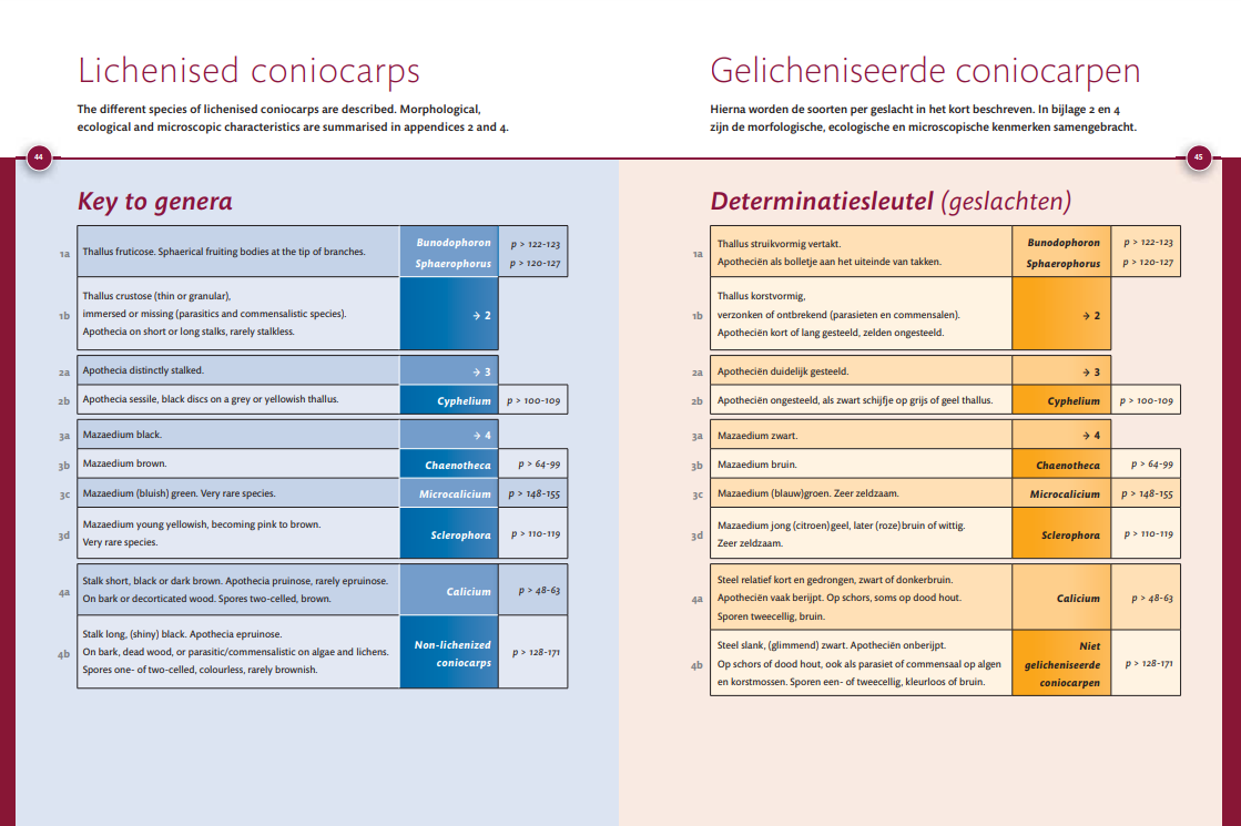 Coniocarpen - Regenschaduw specialisten