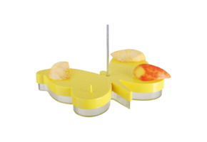 Schmetterlingstränke