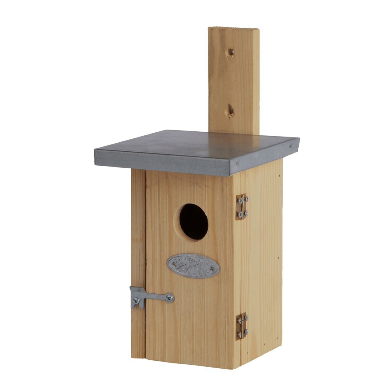 Nest Box Wren, flat roof