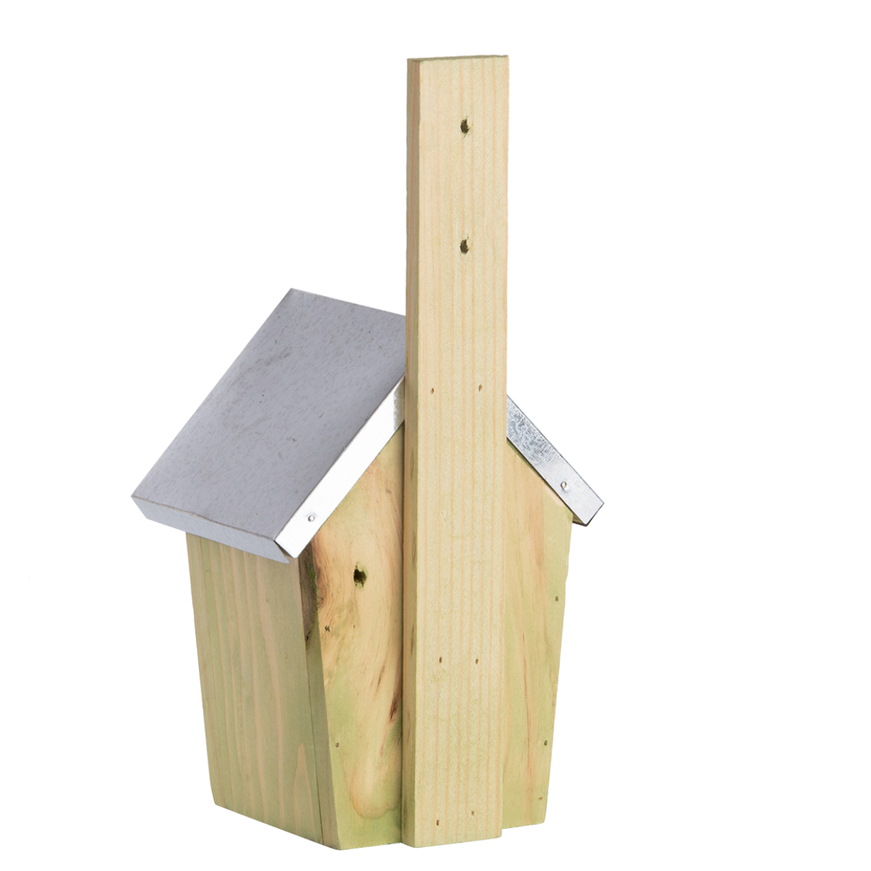 Nest box green