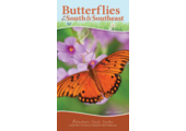 Butterflies of the South & Southeast