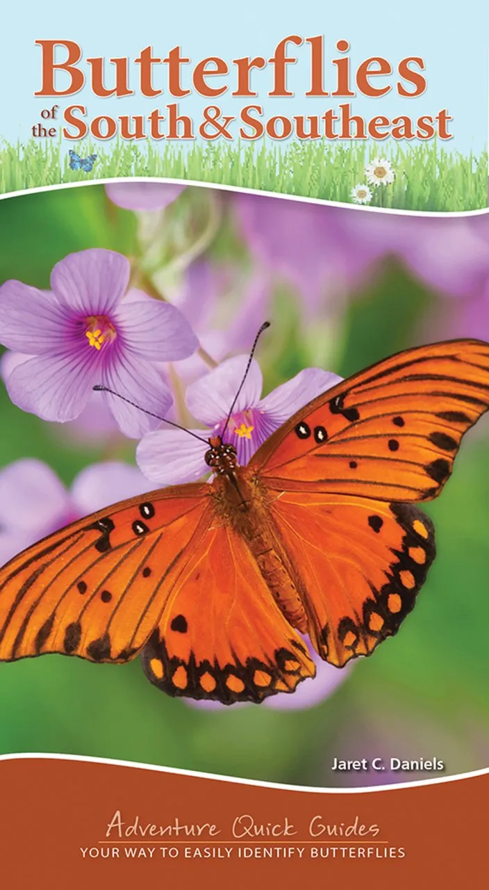 Butterflies of the South & Southeast - Your Way to Easily Identify Butterflies