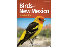 Birds of New Mexico