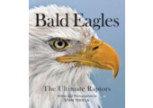 Bald Eagles
