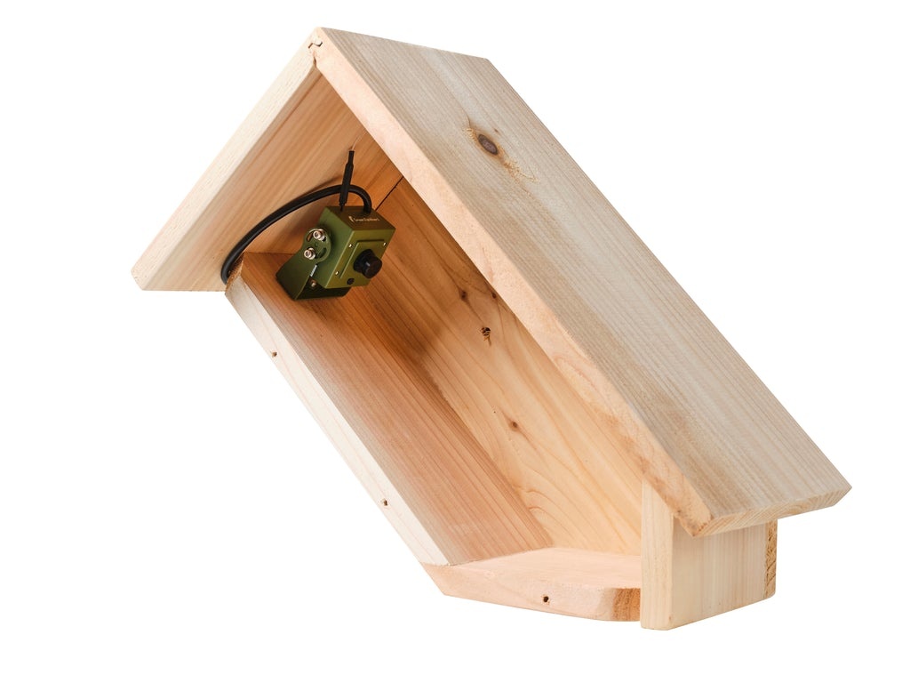 Green Feathers Handmade Wooden Side View Bird Box