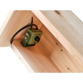 Green Feathers Handmade Wooden Side View Bird Box