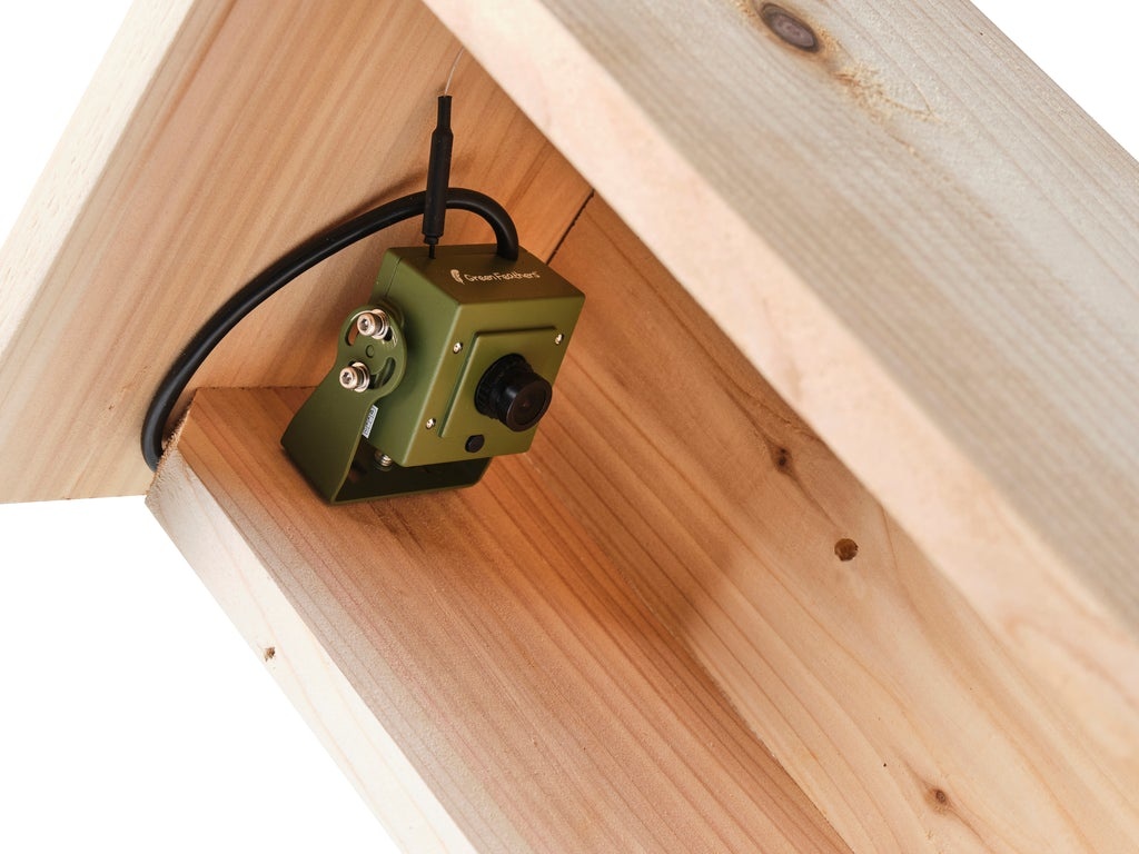 Green Feathers Handmade Wooden Side View Bird Box