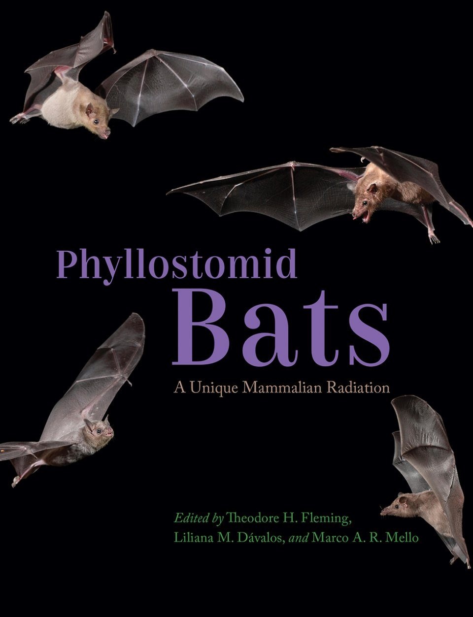 Phyllostomid Bats - A Unique Mammalian Radiation