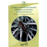 Guide to the British Stonefly (Plecoptera) Families: Adults and Larvae