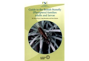 Guide to the British Stonefly (Plecoptera) Families: Adults and Larvae