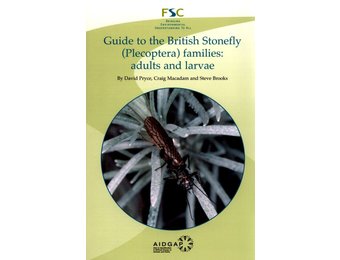 Guide to the British Stonefly (Plecoptera) Families: Adults and Larvae