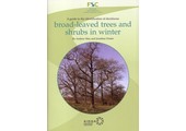 A Guide to the Identification of Deciduous Broad-Leaved Trees and Shrubs in Winter