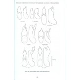 RES Handbook, Volume 12, Parts 7 & 8: The Staphylinidae (Rove Beetles) of Britain and Ireland: Oxyporinae, Steninae, Euaesthetinae, Pseudopsinae, Paederinae, Staphylininae