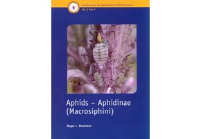 Aphids - Aphidinae