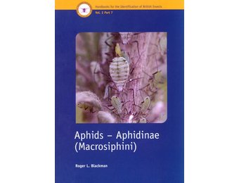 Aphids - Aphidinae
