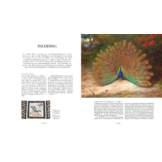 Vogels - De veranderende kijk op vogels in de kunst